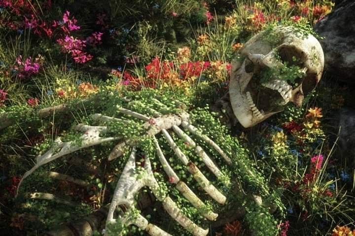 a skeleton laying in the grass surrounded by flowers