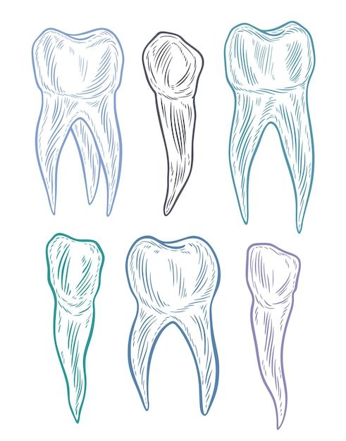 four different types of toothbrushes drawn in blue, green and purple ink on white paper