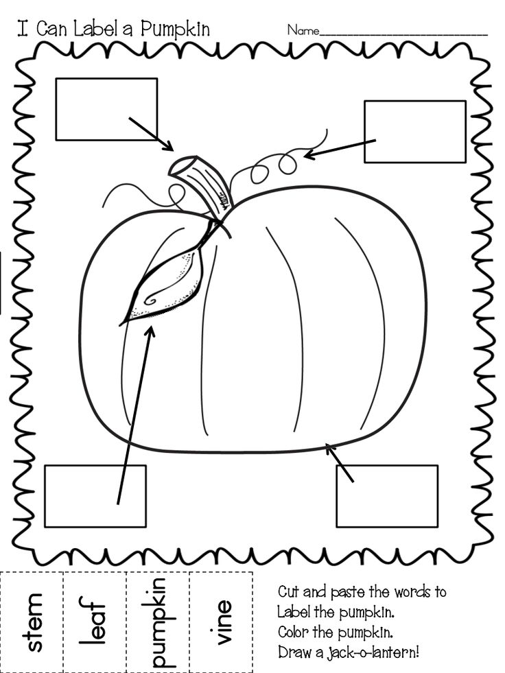 a pumpkin worksheet for kids to learn how to cut and paste the leaves