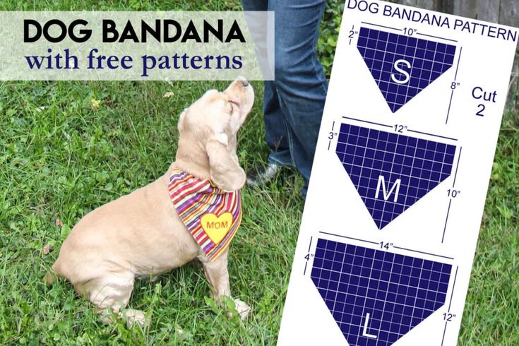 a dog wearing a bandana sitting in the grass next to a sign that says, dogs bandana with free patterns