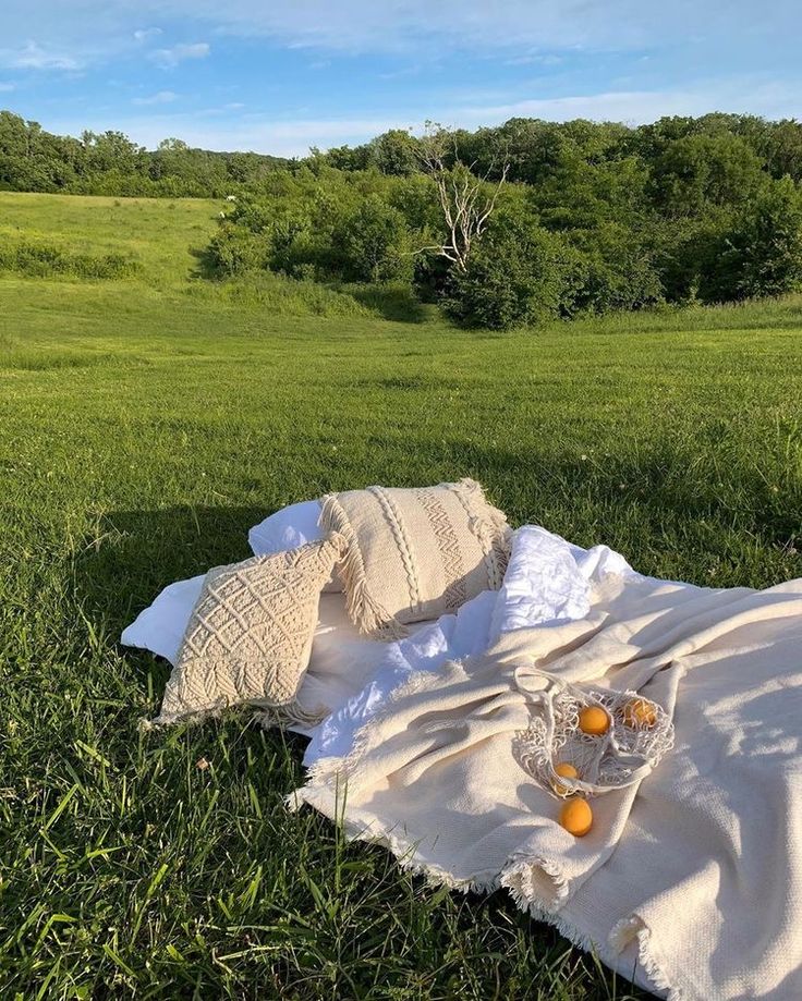 a blanket and two glasses on top of it in the grass with trees in the background