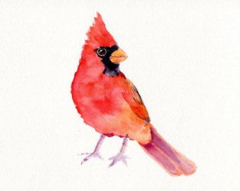 a watercolor painting of a red bird sitting on top of a white surface,