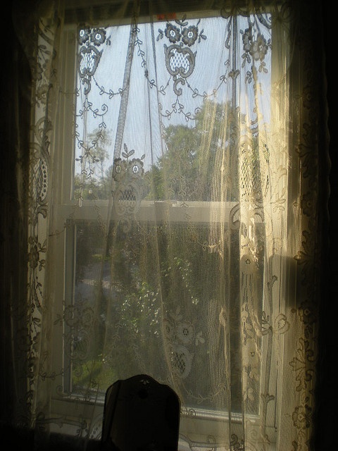 a cat sitting in front of a window with curtains