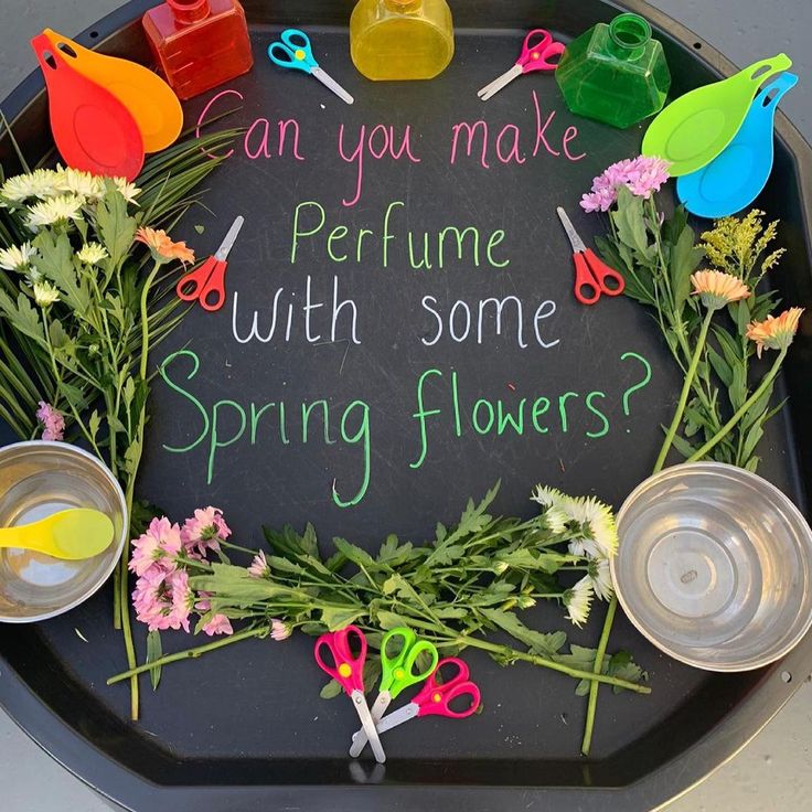 a blackboard with flowers and scissors on it that says can you make perfume with some spring flowers?