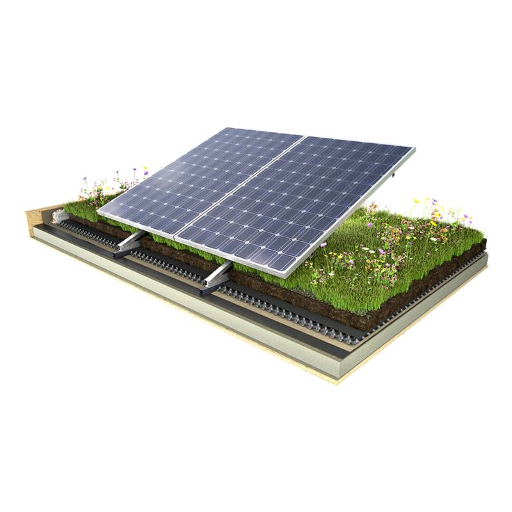 a solar panel with grass growing on top