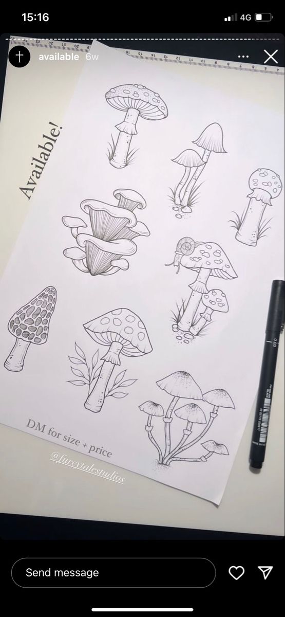 a sheet of paper that has different types of mushrooms on it, with a pen next to it