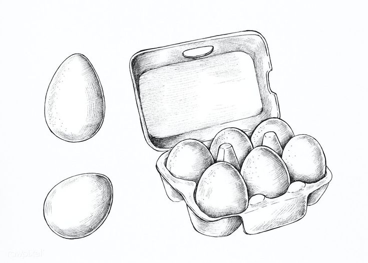 an illustration of eggs in a carton