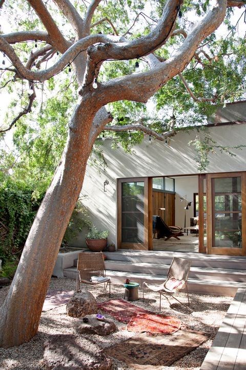 an outdoor living area with chairs and a tree