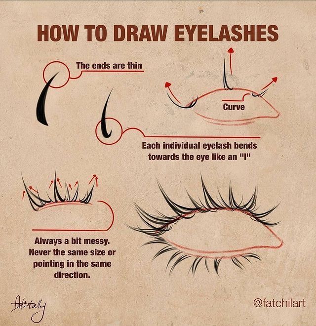 how to draw eyelashes for beginners with step by step instructions on the front and side