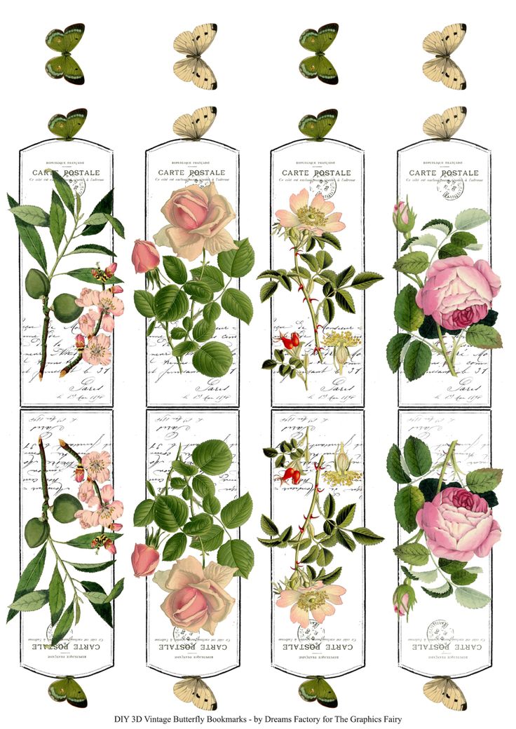 an image of flowers and leaves in bottles with labels on the top, bottom and bottom