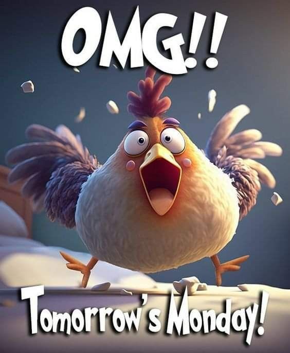 a cartoon chicken with the words omg tomorrow's monday