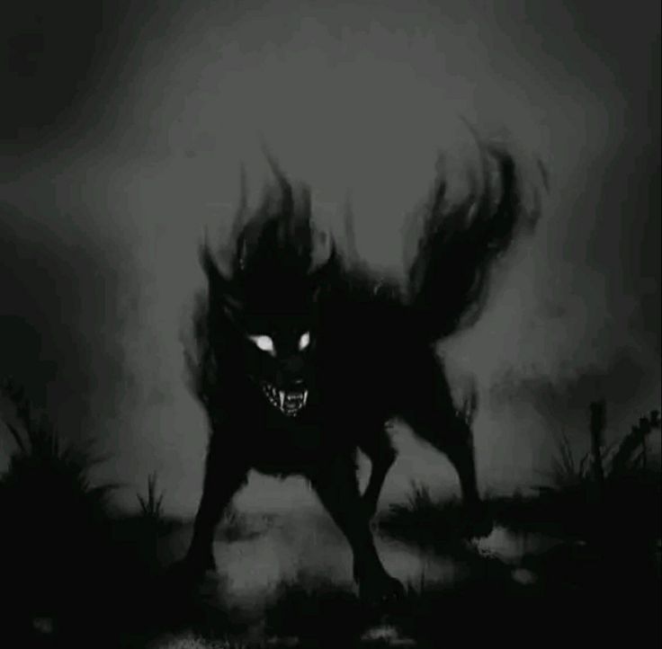 a black and white photo of a wolf with glowing eyes