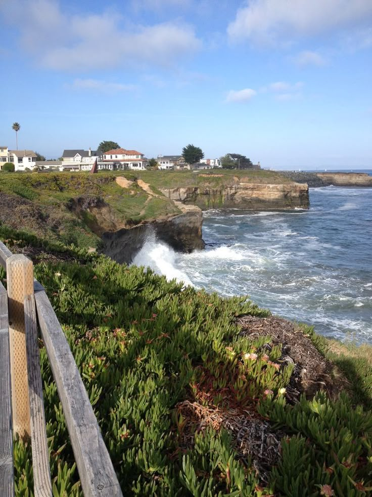 a wooden bench sitting on top of a lush green hillside next to the ocean