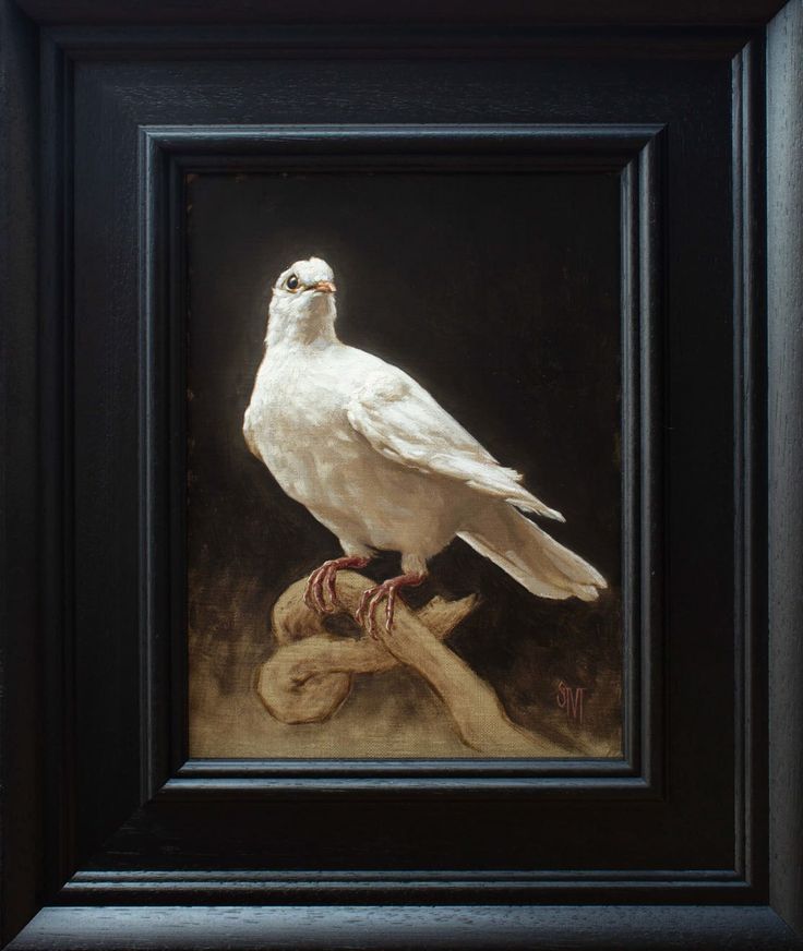 a white bird sitting on top of a piece of wood next to a black frame