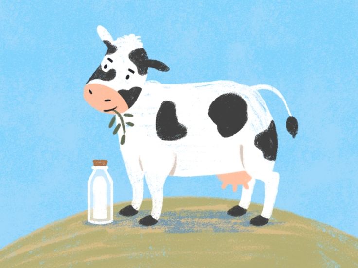 a black and white cow standing on top of a hill next to a glass bottle