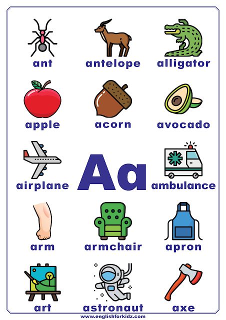 an alphabet poster with pictures of animals and things that are in the english language on it