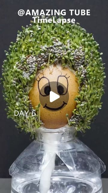 an egg with a green wreath on it's head