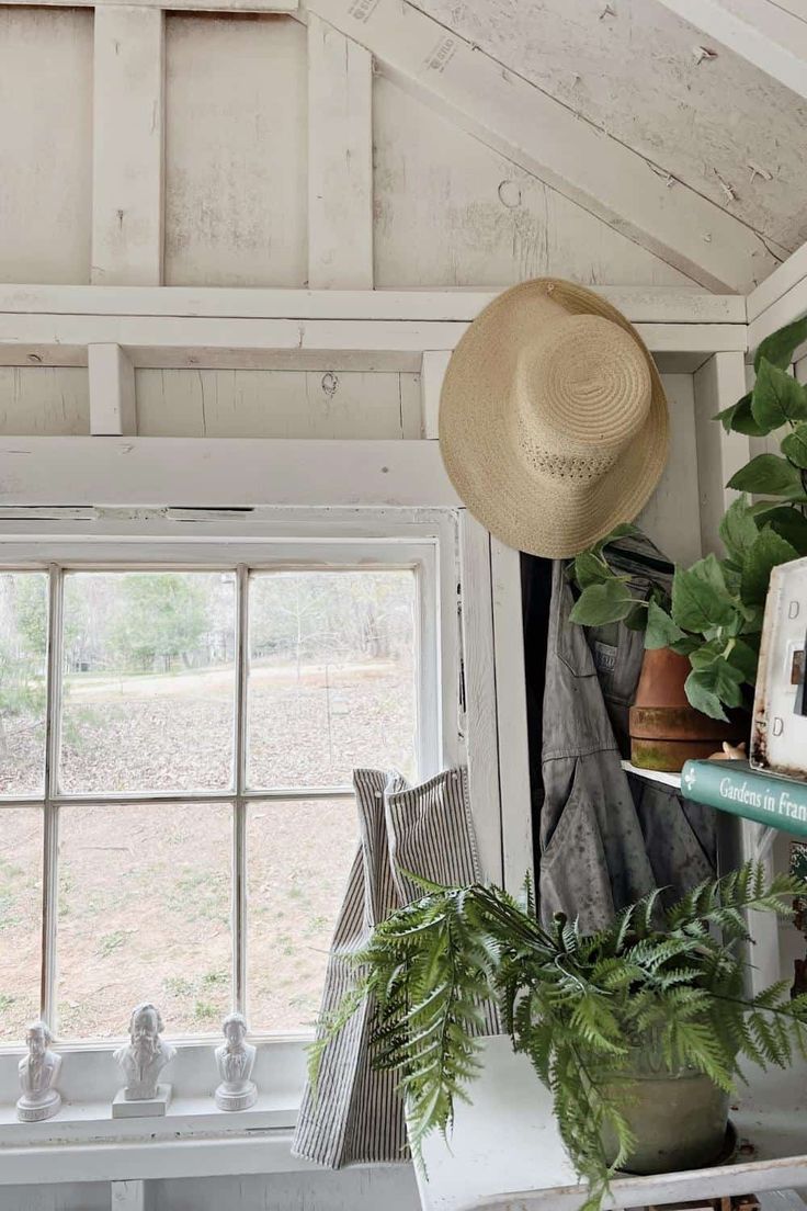 a room with a window, potted plants and a hat hanging from the ceiling