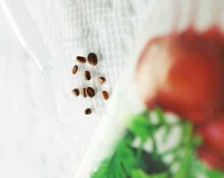 some seeds are sitting on top of a white table cloth next to an iv tube