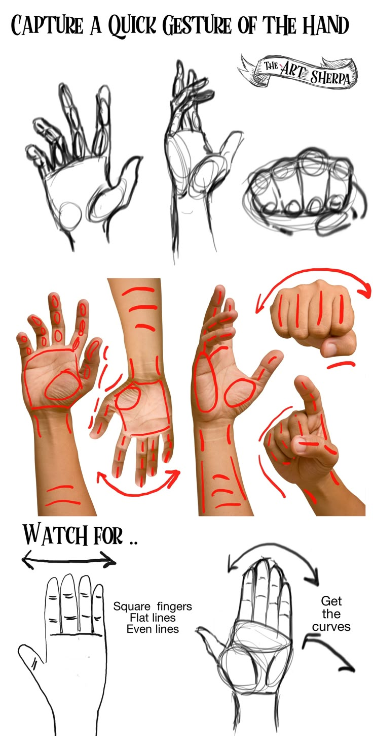 the instructions for how to draw hands in different positions and directions, with pictures on each hand