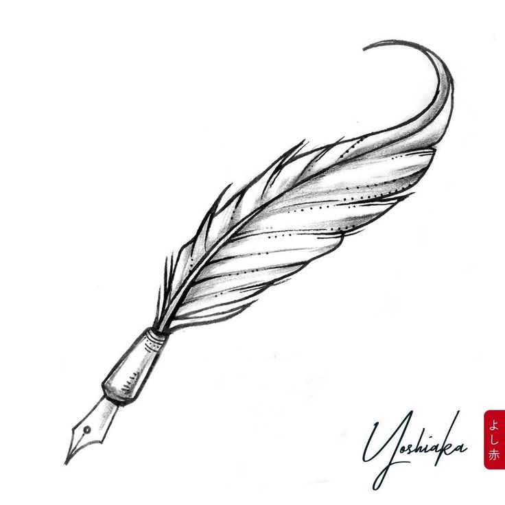 an ink drawing of a feather quill