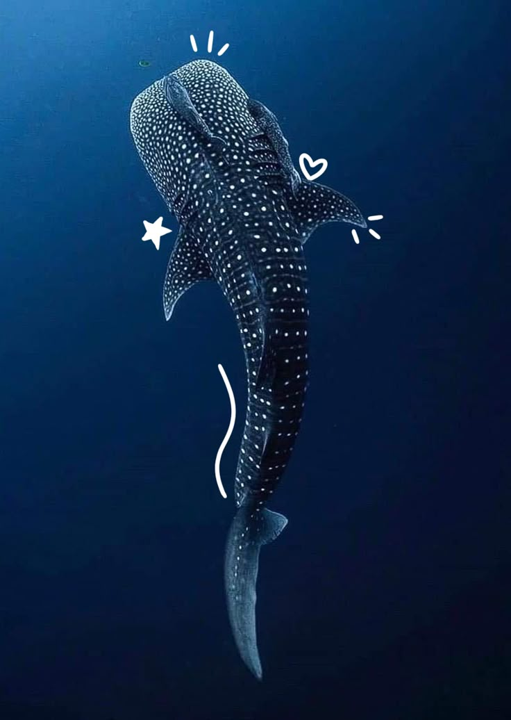 a whale swimming in the ocean with stars on it's back end and its mouth open