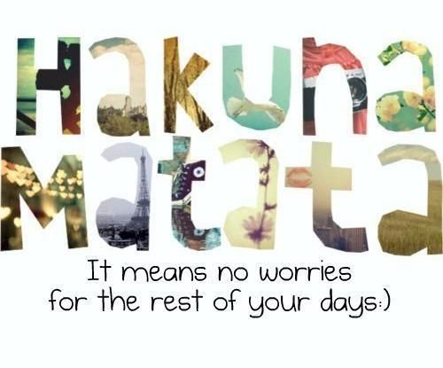 the words hakuna matata mean no worriess for the rest of your days