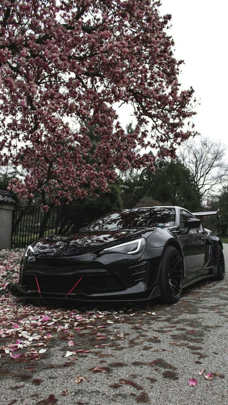 a black sports car parked in front of a tree with pink flowers on the ground