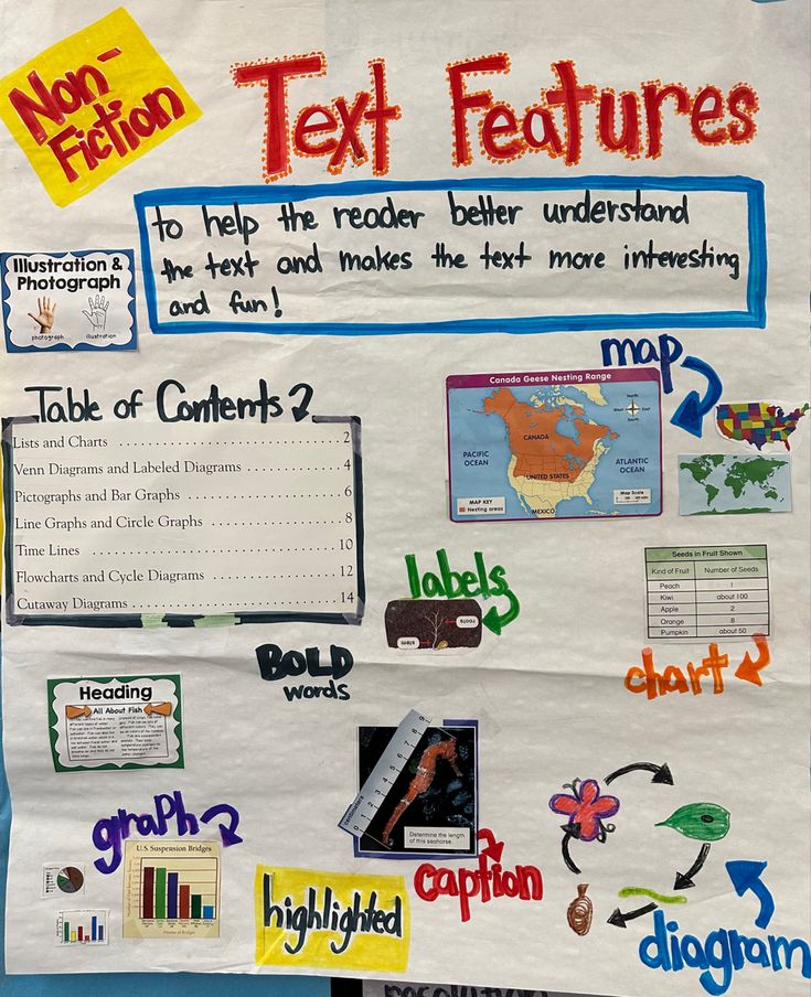 a bulletin board with different types of text features