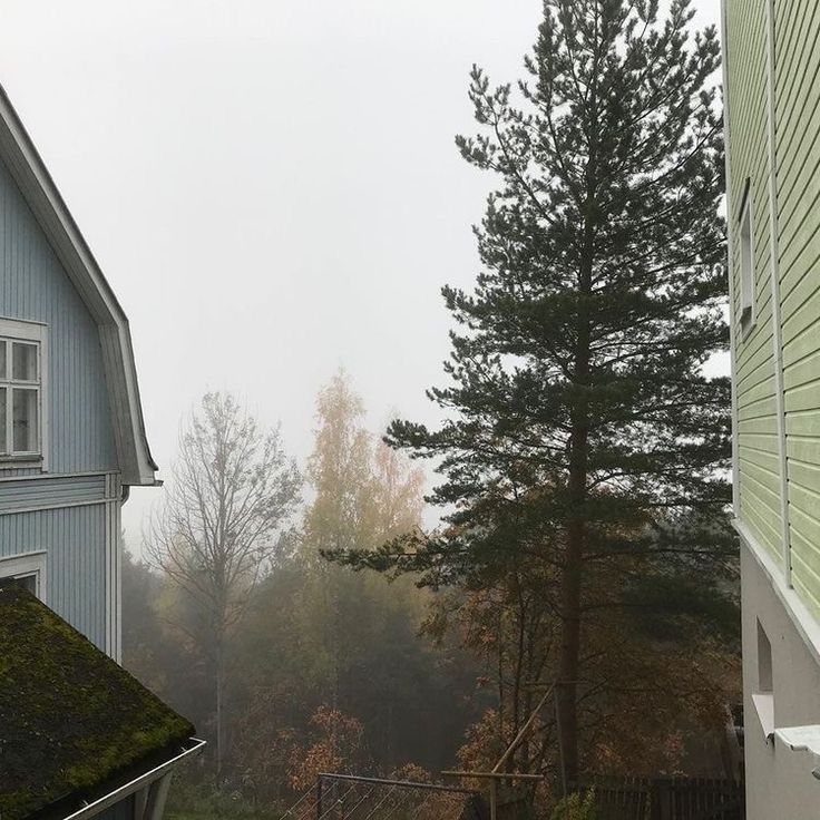 two houses with trees in the background on a foggy day