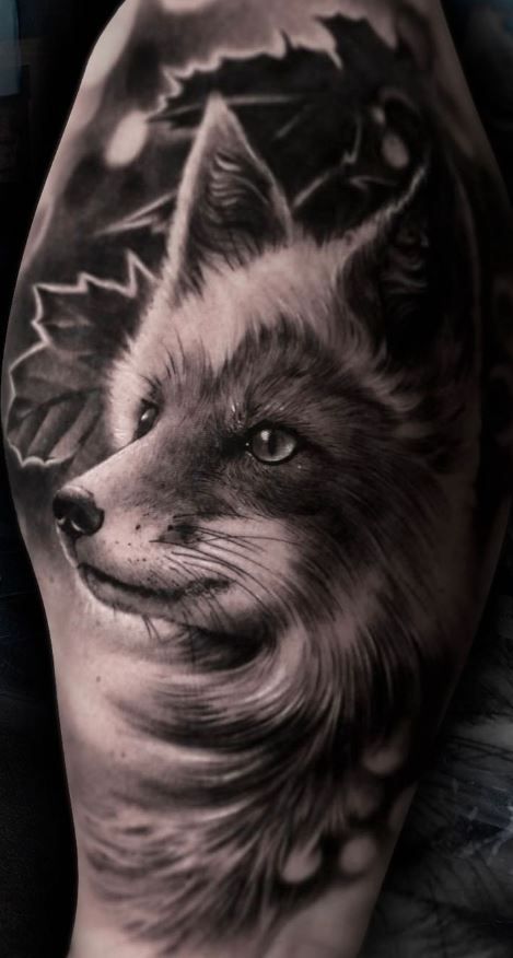 a black and white photo of a fox on the leg