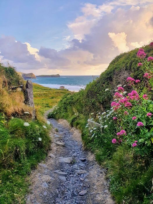 a dirt path leading to the ocean with pink flowers on either side