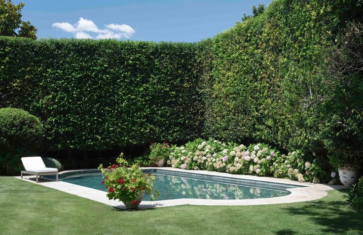 a pool in the middle of a lawn with flowers and bushes around it, surrounded by greenery