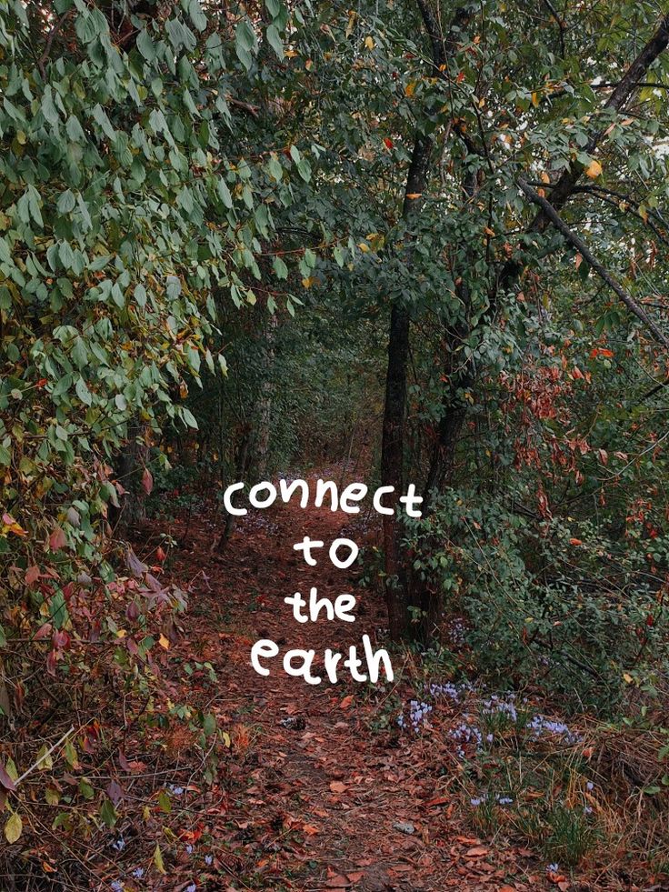 the words connect to the earth written in white on a path surrounded by trees and leaves