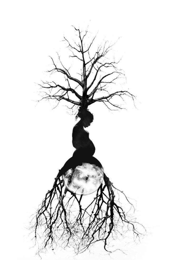 a black and white photo of a person sitting on top of a tree with roots