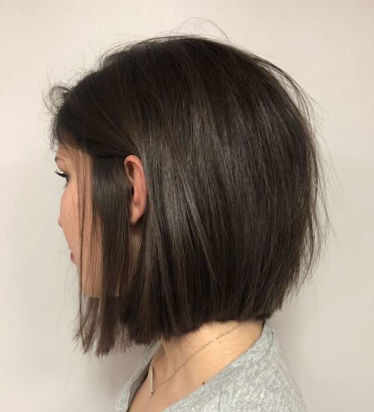 Blunt Bob For Thin Hair Short Hair For Coarse Hair, Brunette Bob Fine Hair, Brunette Bobs For Fine Hair, Soft Bob Haircut, Brunette Short Bob, Bob Brunette, Brunette Bob Haircut, Mom Hair, Brunette Bob