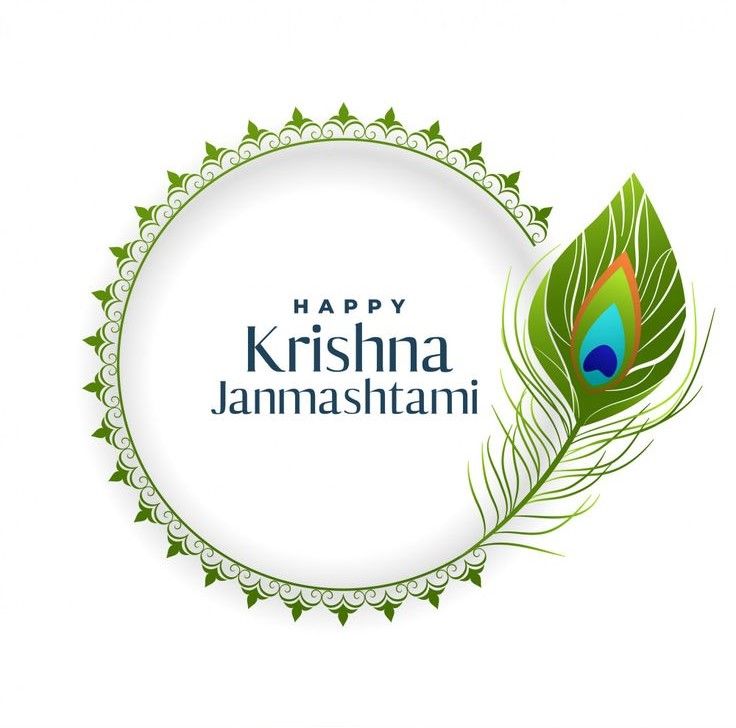 happy krishna jammashani greeting card with peacock feather on white background