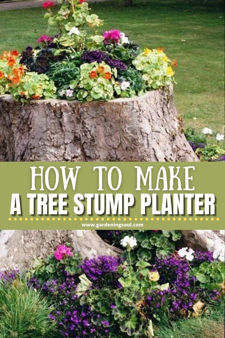 how to make a tree stump planter with flowers in the center and text overlay that reads, how to make a tree stump planter