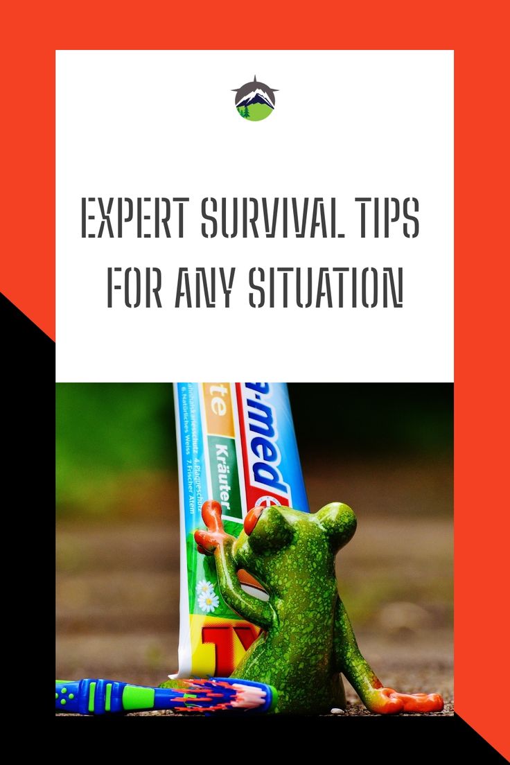 a green frog sitting on top of a pile of crayons with the words expert survival tips for any situation