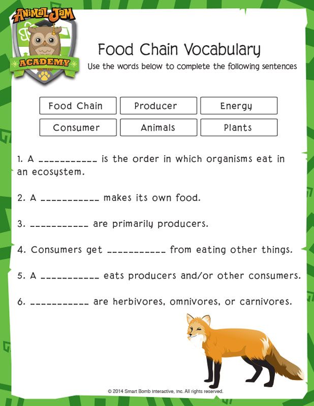 food chain vocaculary worksheet with an image of a fox and other animals