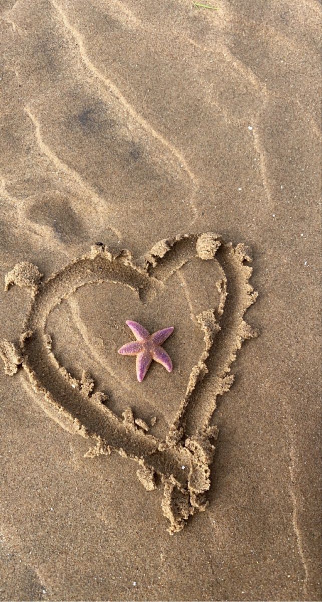 a starfish in the shape of a heart drawn in sand with a pink starfish