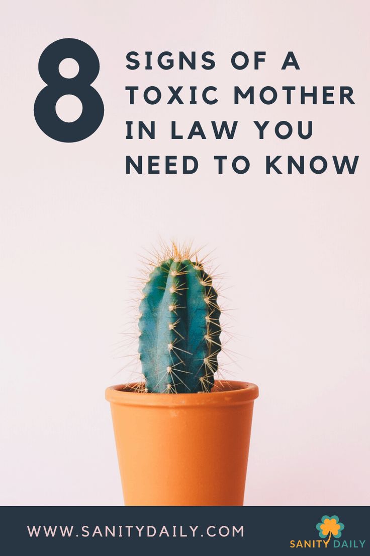 a cactus in a pot with the text 8 signs of a toxic mother in law you need to know