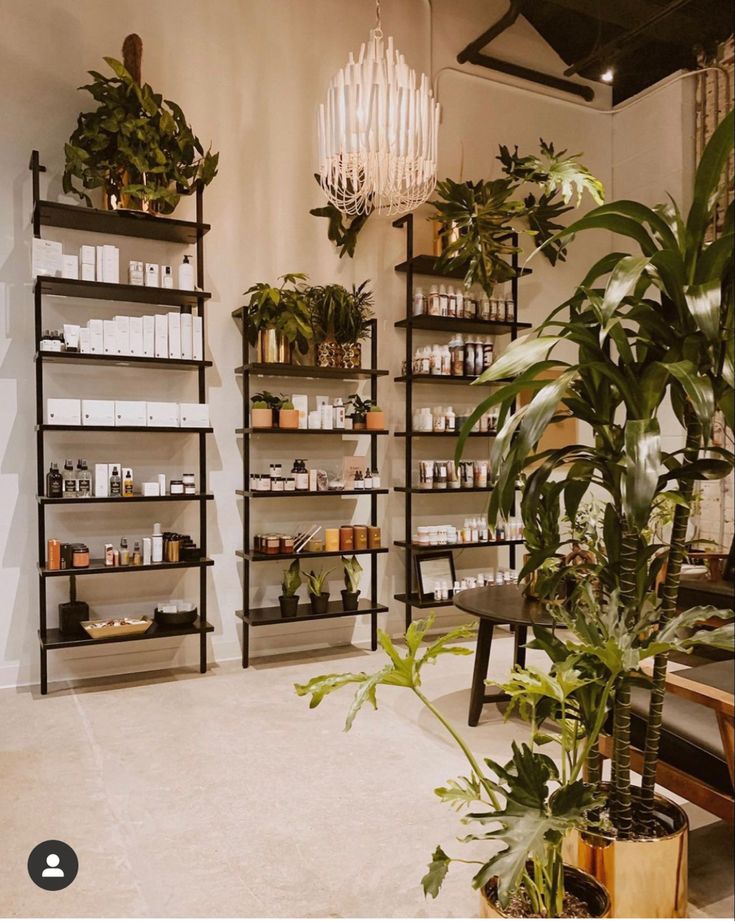 a room filled with lots of plants and shelves