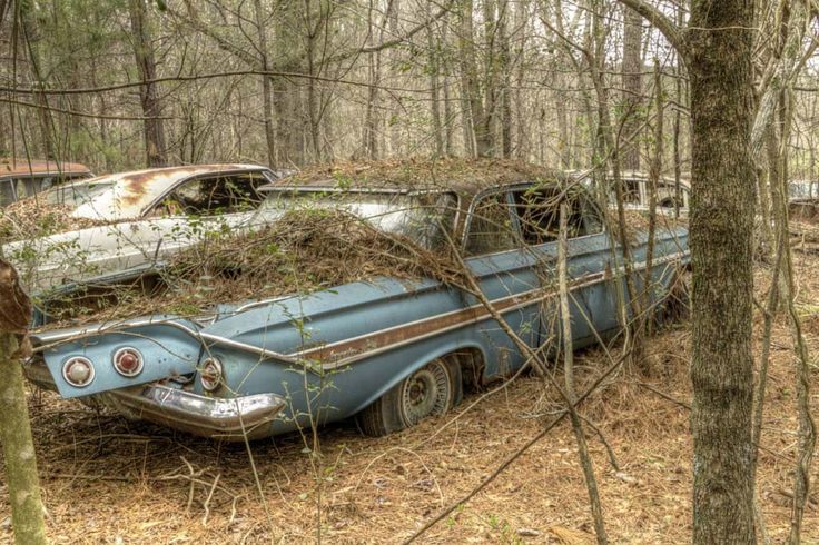 an old abandoned car in the woods