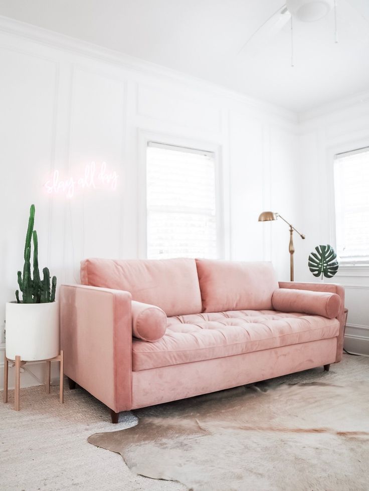 a living room with a pink couch and potted cactus in the corner on the floor