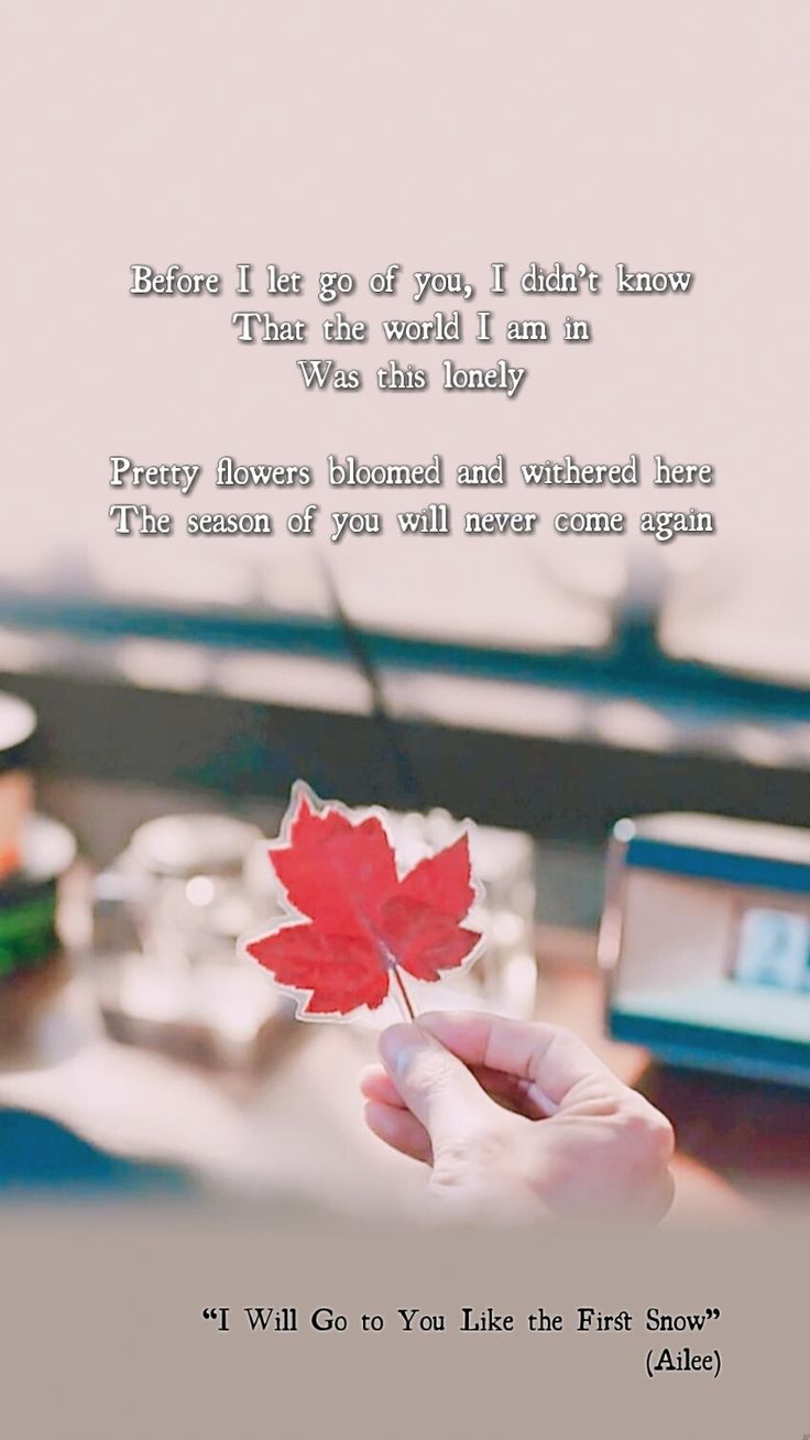 a person holding a red leaf in front of a computer screen with the words, before i go to you, i didn't know