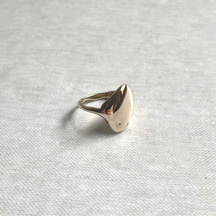 Sign of the times. Our Melted Signet artisan ring finds form in the formless and formlessness in form. Hand-carved in wax by Erica Bradbury at our Catskills studio Cast in brass at a small family-owned shop in New York City It is natural for materials like brass and sterling to oxidize over time, so avoid excessive water and moisture. Keep clean with the polishing cloth included with purchase Wax Carved Ring, Brass Cleaner, Carved Ring, Wax Carving, Artisan Rings, Sign Of The Times, Wax Casting, Lost Wax Casting, Salt And Water