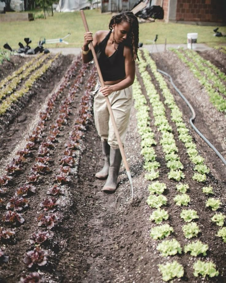 a woman standing in the middle of a garden holding a stick and digging for lettuce