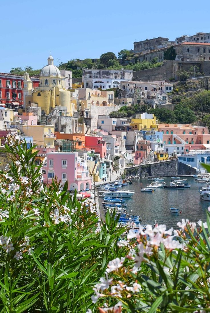 boats are docked on the water in front of colorful buildings and trees with white flowers