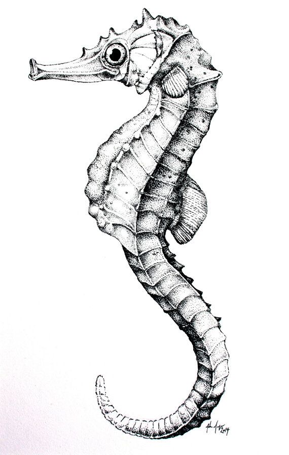 a black and white drawing of a seahorse with its head turned to the side